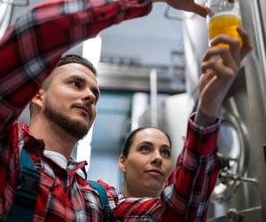 brewery-300x250
