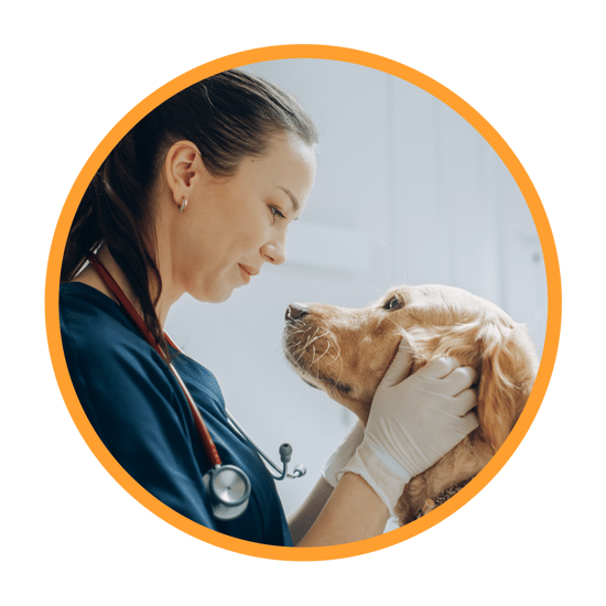 veterinarian-and-dog-header-image